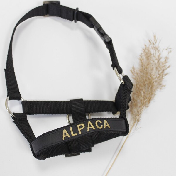 Alpaca Halter Etsy