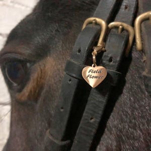 May include: A heart-shaped metal tag with the engraved text Field Flower attached to a black leather horse bridle with brass buckles. The tag hangs from a small gold-toned clasp secured to the leather strap near the horse's dark eye.