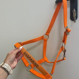 Orange Basic Embroidered horse halter / Equestrian tack name / Halter with name / Personalized pony name / Personal halter / Pferdehalfter