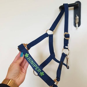Blue Basic Embroidered horse halter / Equestrian tack name / Halter with name / Personalized pony name / Personal halfter / Pferdehalfter