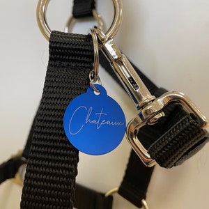 Engraved colored charm for horse / Horse bridle charm / Engraved personalized tag / Tag with name / Dog tag with engraving / Cat name tag