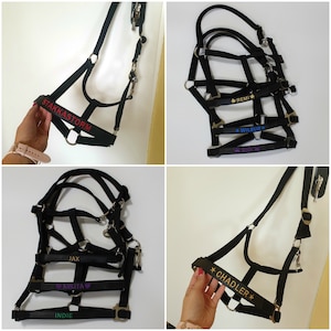 May include: Black horse halters with personalized text in various colors. The halters have metal hardware and are displayed against a white background. Names include STAKKASTORM, REMI, WILBUR, GIGI, JAX, NIKITA, INDIE, and CHADLER.