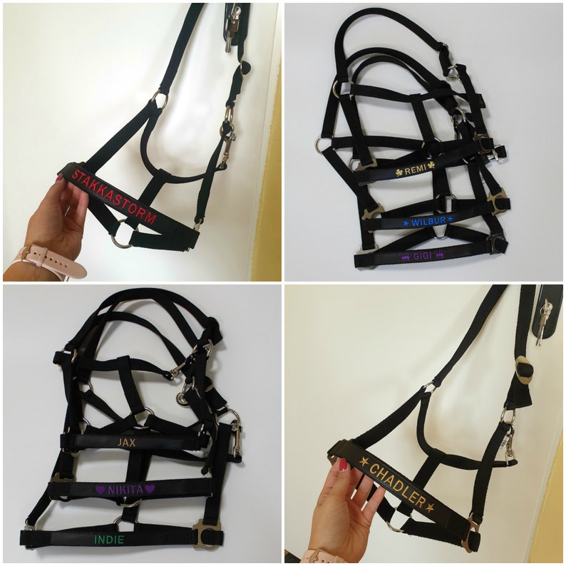 May include: Black horse halters with personalized text in various colors. The halters have metal hardware and are displayed against a white background. Names include STAKKASTORM, REMI, WILBUR, GIGI, JAX, NIKITA, INDIE, and CHADLER.