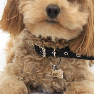 Personalized Engraved Metal bone dog tag / Stainless steel dog ID tag / Custom pet tag