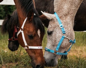 Personalized Embroidered Horse Halter, Custom Name Nylon Equestrian Tack