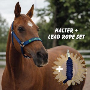May include: A brown horse wearing a blue halter with the name "JUNIPE" and a matching blue lead rope. The text "HALTER + LEAD ROPE SET" is displayed in white letters.