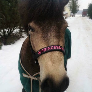 Elegant black nylon horse halter with silver hardware. Adjustable fit and customizable embroidered nameplate on the noseband. Available in multiple sizes, ideal for everyday wear or as a thoughtful gift.