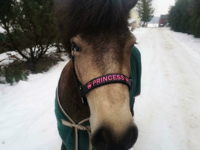 Elegant black nylon horse halter with silver hardware. Adjustable fit and customizable embroidered nameplate on the noseband. Available in multiple sizes, ideal for everyday wear or as a thoughtful gift.