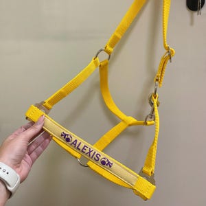Yellow Basic Embroidered horse halter / Equestrian tack name / Halter with name / Personalized pony name / Personal halter / Pferdehalfter
