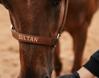 Brown Basic Embroidered horse halter / Equestrian tack name / Halter with name / Personalized pony name / Personal halter / Pferdehalfter