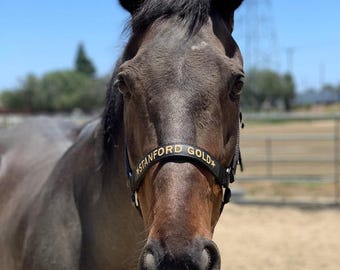 Embroidered Horse Halter - Personalized Black Nylon Halter With Name