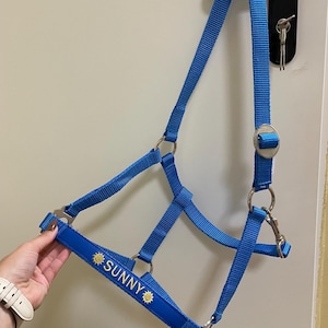 Bright blue basic Embroidered horse halter / Equestrian tack name / Halter with name / Personalized pony name / Personal halter
