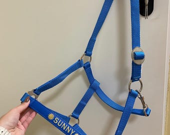 Bright Blue Embroidered Horse Halter, Personalized Equestrian Tack With Name