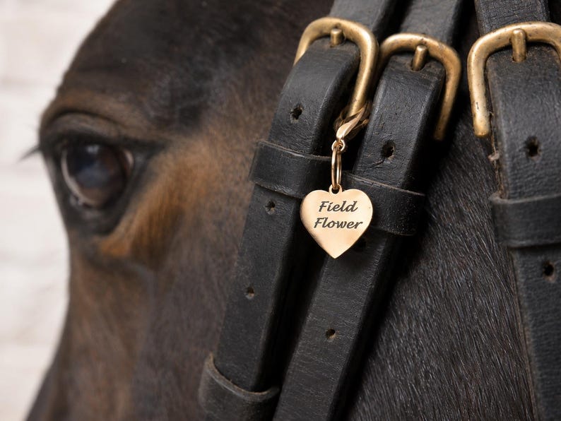 Personalized Heart Horse Bridle Charm, Custom Engraved Tag image 1