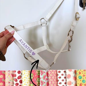 May include: A cream-coloured horse halter with silver metal fittings. The halter features the word "AVANTIS" in purple with a purple heart symbol. Below the halter are several colourful fabric patterns with fruit designs.