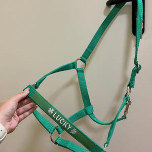 Green Basic Embroidered horse halter / Equestrian tack name / Halter with name / Personalized pony name / Personal halter / Pferdehalfter