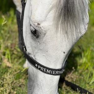 Black Basic embroidered horse halter / Equestrian tack name / Halter with name / Personalized pony name / Personal halfter / Pferdehalfter
