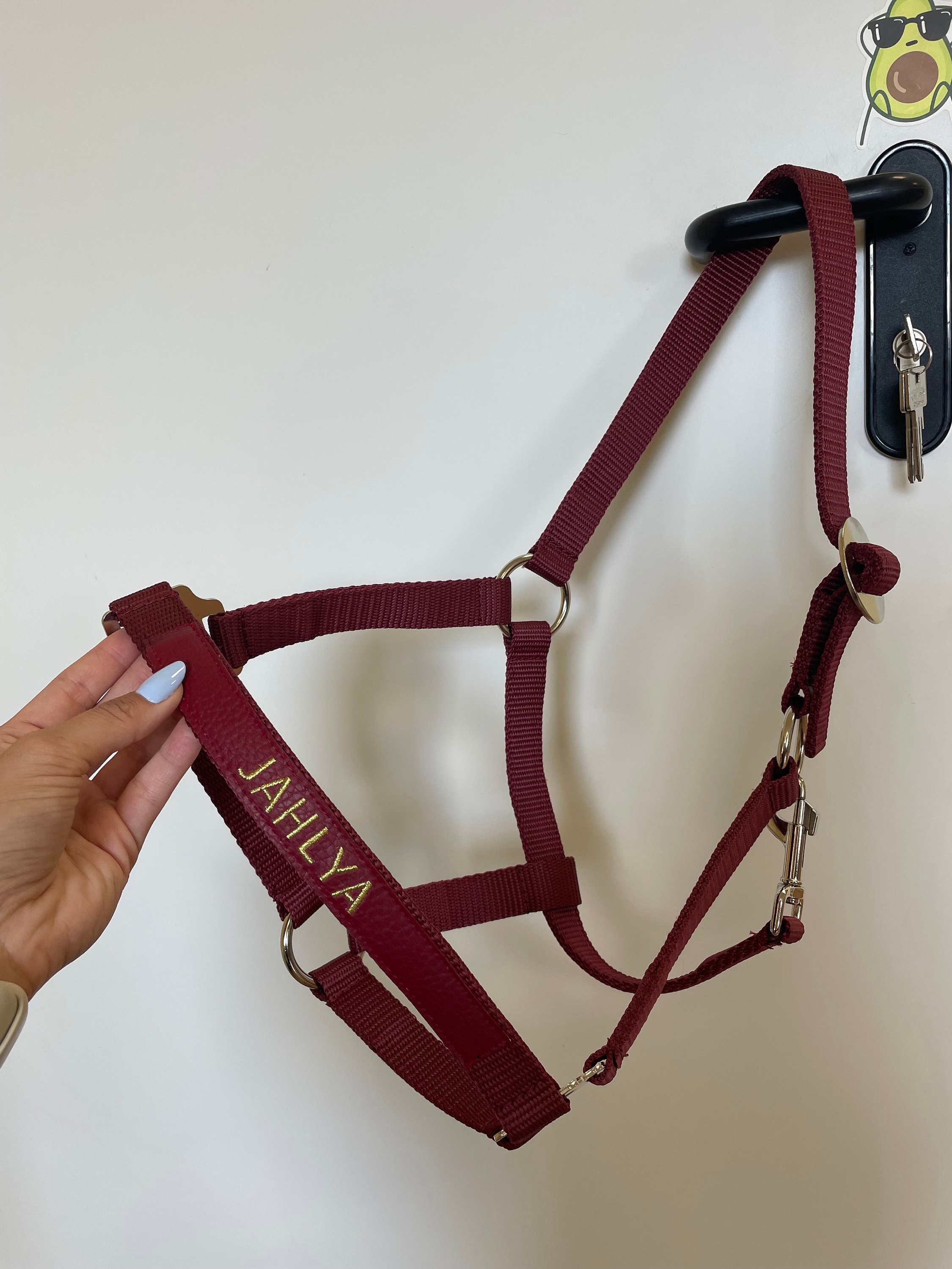 Photo Halter Choose Your Color - Basic Embroidered Horse Halter / Equestrian Tack ...