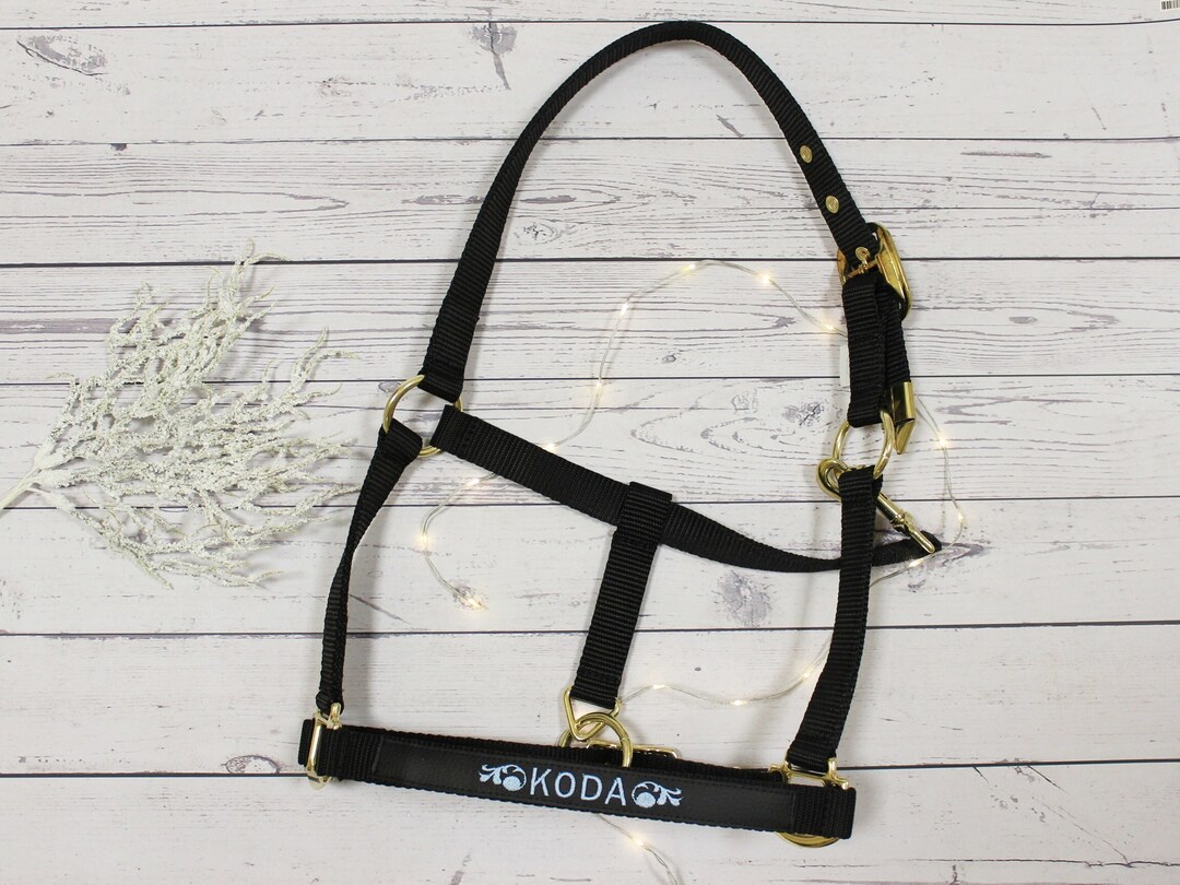 Black Adjustable Embroidered Horse Halter With Golden Buckles Etsy