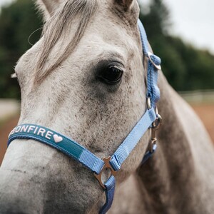 Pode incluir: Close-up de um cavalo cinzento a usar um cabresto azul. O cabresto tem a palavra "BONFIRE" e um símbolo de coração. O olho do cavalo é visível, com um fundo desfocado de árvores e campo.