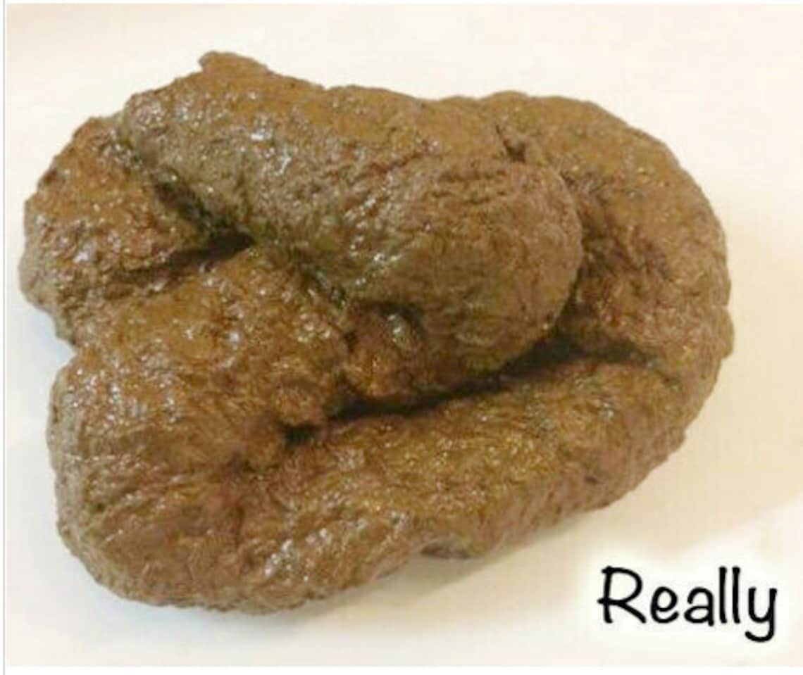 PREMIUM Fake Dog Poop Doggie Poo Realistic Doggy Doo Doo Dirt Etsy
