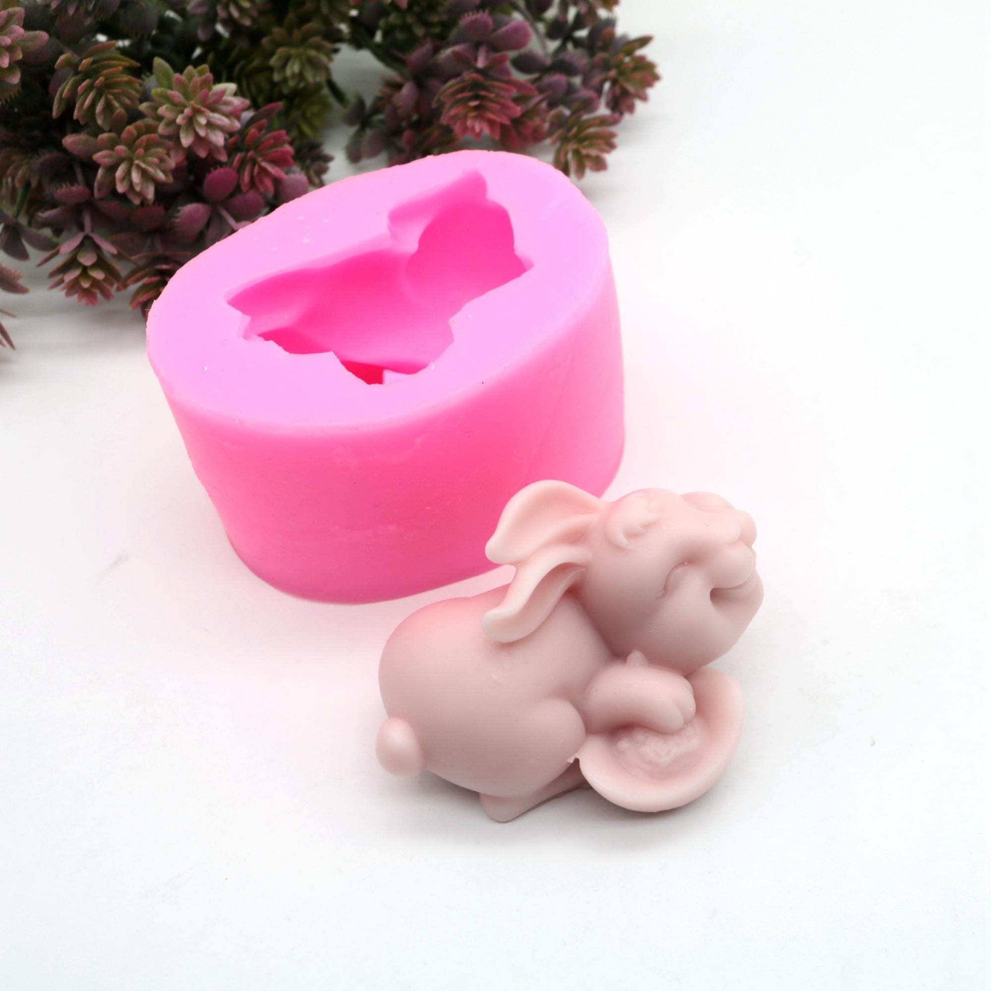 2 Stampini Silicone Per Pasqua - Forme Uova, Conigli, Anatre Per Cioccolato, Ghiaccio, Dolci - Foto 7