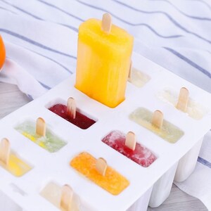 10 Cavity Large Popsicle Mod With Lid and Wood Sticks 110 Pcs - Etsy