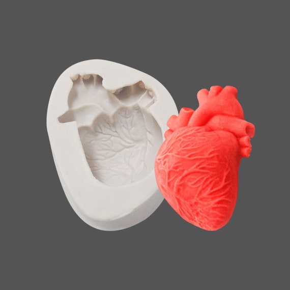 Anatomical Heart Mold Silicone Mould Resin Chocolate Fondant Clay