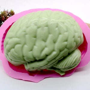 Puede incluir: Molde de silicona rosa con forma de cerebro humano. El molde está vacío y listo para usarse para hacer un objeto con forma de cerebro.