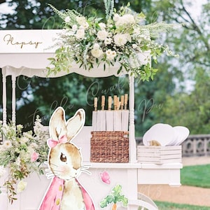 Baby Shower Party Decor, Peter Rabbit Cutout, Baby Shower Decor, Girl ...