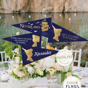 Articoli per feste di Peter Pan, gagliardetti per feste di compleanno, 1° compleanno, decorazioni per feste di Neverland, baby shower per bambini, Campanellino, Never Grow Up, digitale