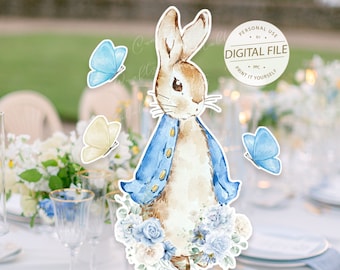 Party Decorations Peter Rabbit Party Hats Party Hats Easter Bunny