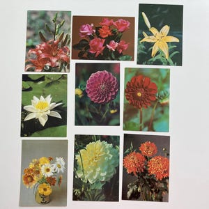 Set di cartoline con fiori, assortimento di cartoline botaniche, confezione di cartoline floreali retrò, vintage URSS anni '80
