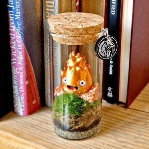 May include: A glass jar with a cork lid containing a small golden figure with a smiling face, surrounded by green moss. The jar is sitting on a wooden shelf with a row of books behind it.
