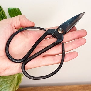 Traditional Vintage Plant Pruners Small House Plant Gift