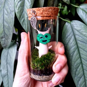 Korok Terrarium Moss Bottle, Legend of Zelda