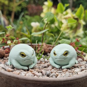 Mini Grumpy Frog Terrarium Decorations 2pcs, Tiny House Plant Figures