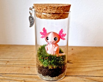 Moss Terrarium Axolotl Bottle, Indoor Plant Gift Ideas
