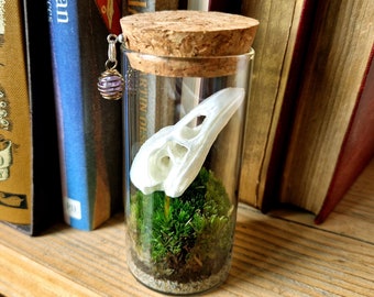 Raven Skull Terrarium Bottle, Crow Mini Moss Indoor Plant Gift Ideas