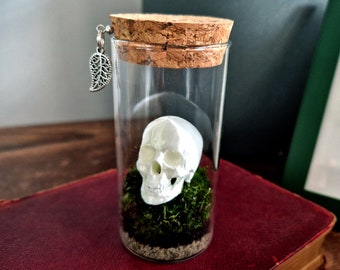 Skull Terrarium Bottle, Human Mini Moss Indoor Plant Gift Ideas