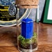 see more listings in the Moss Terrariums section