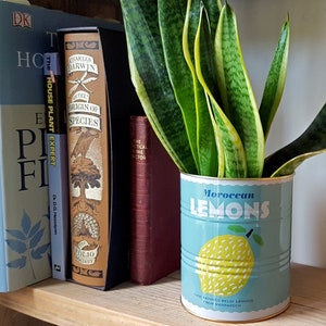 Retro Style Storage Tin Decorative Plant Pot, Vintage Decorative Lemon Small Plant Pot Cover