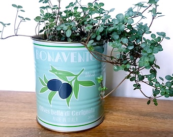 Olive Retro Style Tin Indoor Plant Pot,  Bonavento Small House Planters