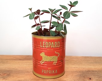 Decorative Plant Pot Paprika Tin, Small Vintage Style Storage Tin