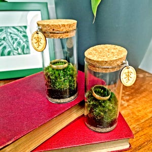 May include: Two glass terrariums with cork stoppers, each containing a gold ring atop green moss. The terrariums have wooden tags with a symbol. They sit on a red book, with a wooden table in the background.