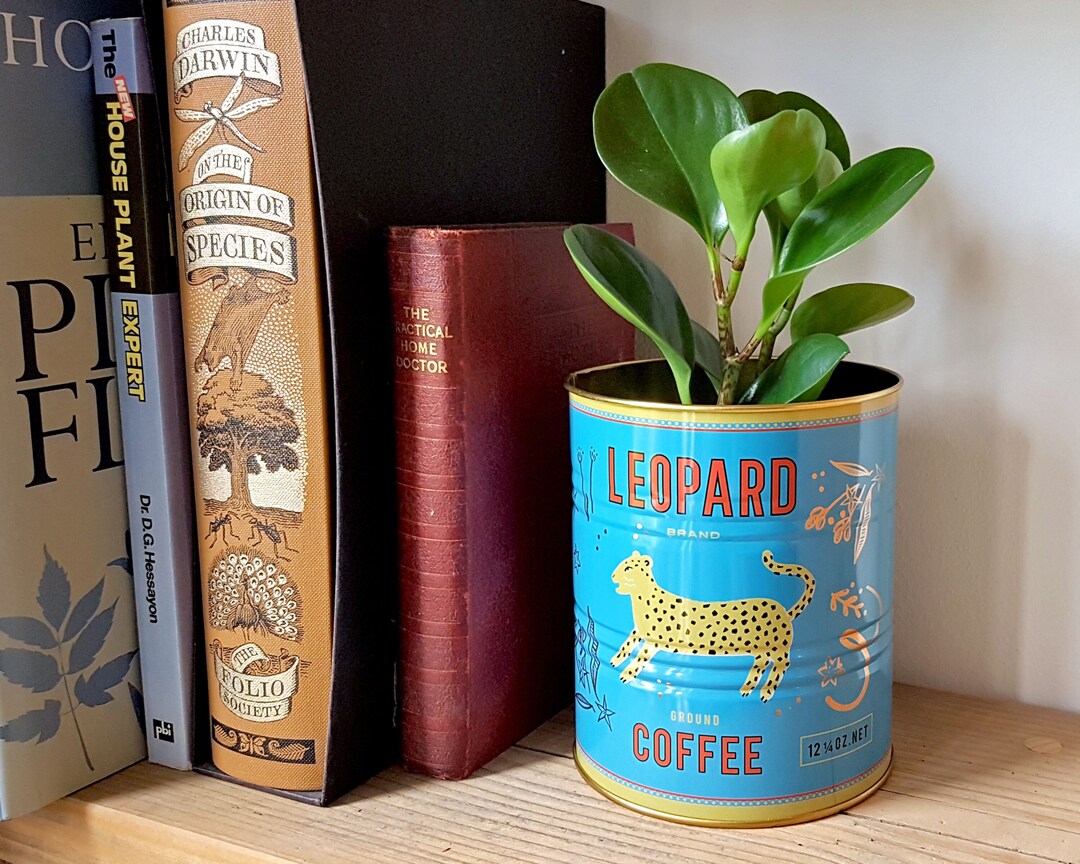 Coffee Can Indoor Plants Vintage Style Storage Tin, Leopard Small Decorative Plant Pot