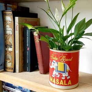 Elephant Masala Spice Tin Plants Retro Food Tin, Small Indoor Plant Pot Cover
