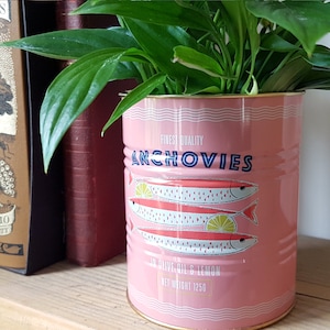 Retro Anchovies Tin Vintage Style Kitchen Storage, Small House Plant Herb Planter