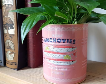 Retro Anchovies Tin Vintage Style Kitchen Storage, Small House Plant Herb Planter