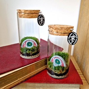 Hobbit Hole Terrarium Bottle, Lord Of The Rings Indoor Plant Gift Ideas image 2